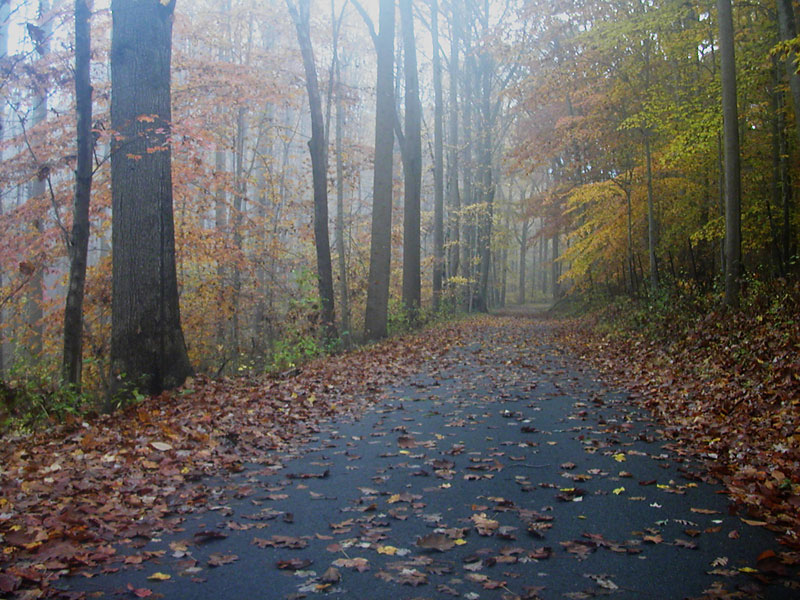 Thompson Station Road, October 2004