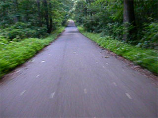 <a href=video/050704_054506.mov>Bike-Cam video 1</a>