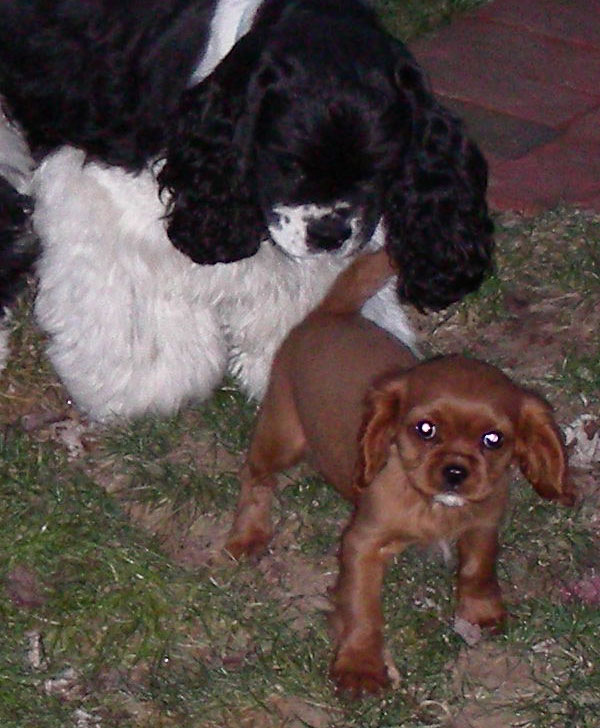 February 2007, with <a href='toby.php'>Toby</a>