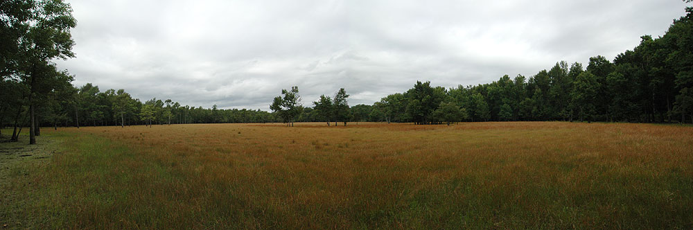 This is a big area — about 1/4 mile to the other end.