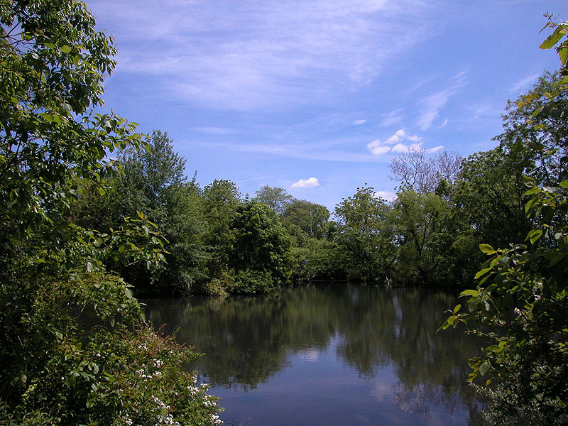 Bryan's Field trail