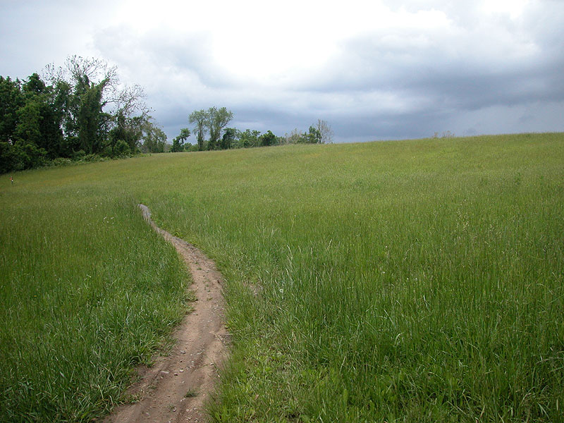 Whitley Farms trail