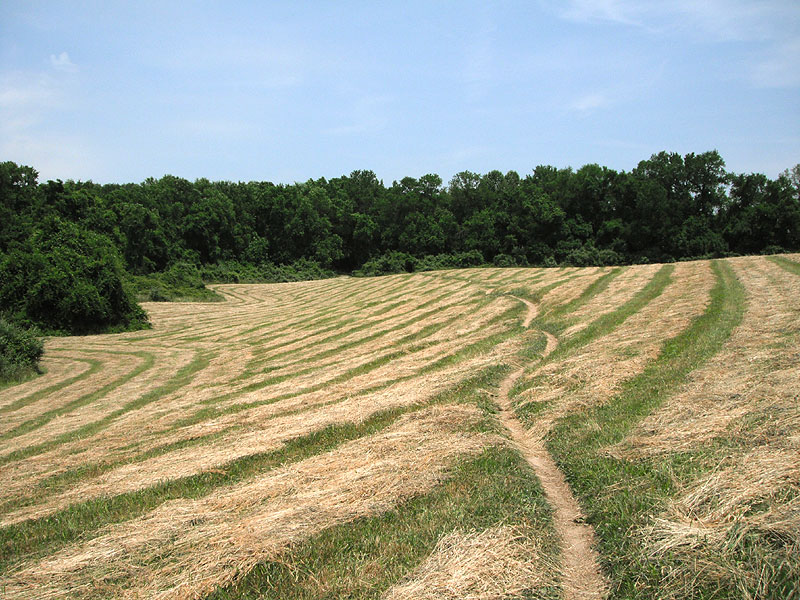 Boundary Line trail