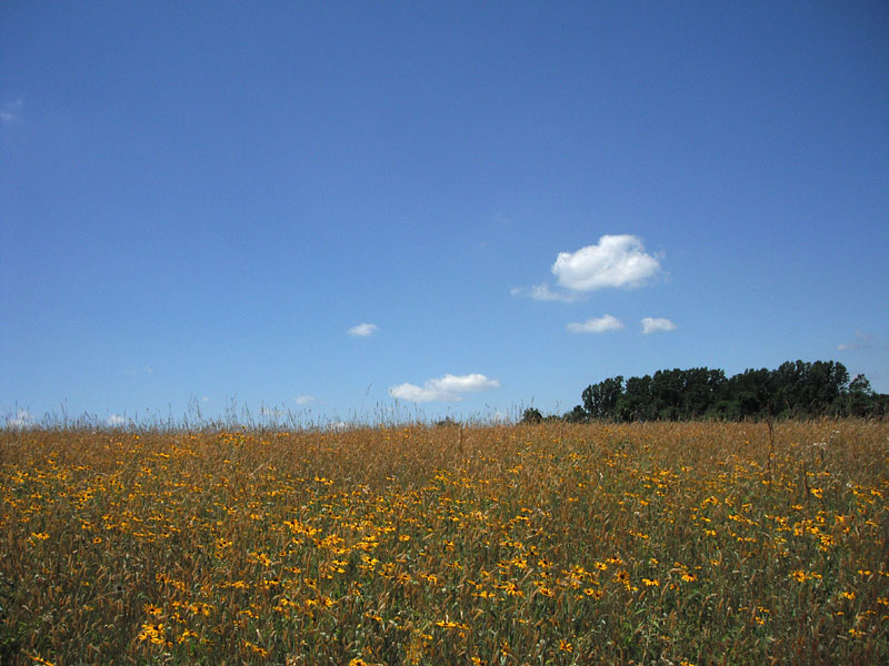 Whitley Farms trail