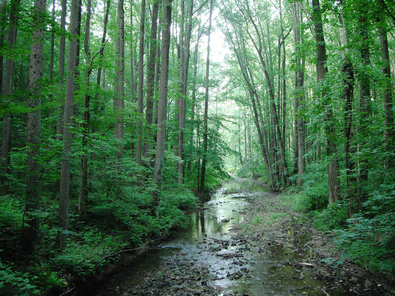 From the Possum Hollow bridge