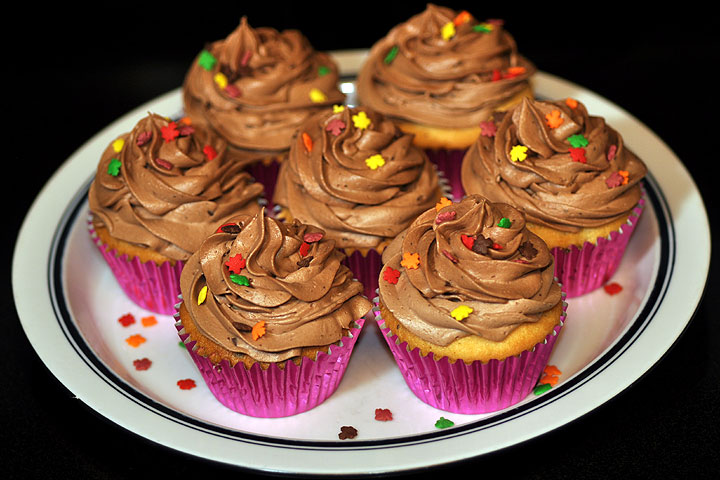 Chocolate chip<br>November 5
