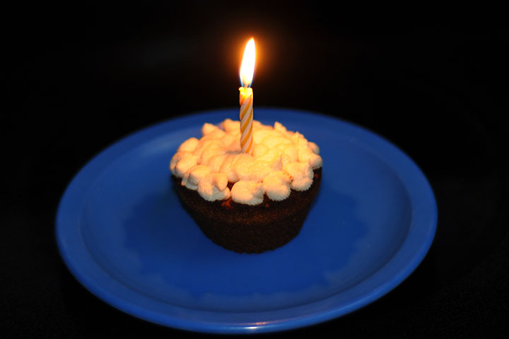 Carrot-peanut butter for <a href=nikki.php>Nikki</a>'s birthday<br>December 8