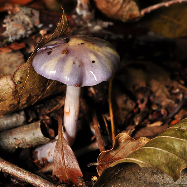 White Clay Creek State Park, September 2014